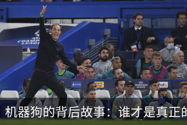 机器狗的背后故事：谁才是真正的“狗中霸主”？